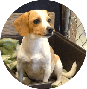 Abbey one of our sweet mommas