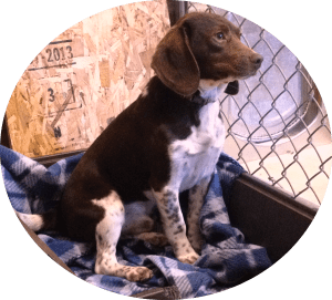 Our proud poppa Cooper