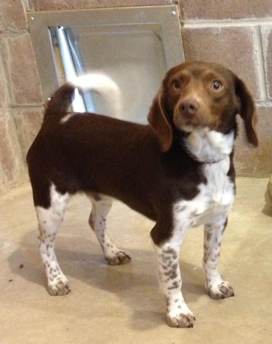 Cooper ready for action